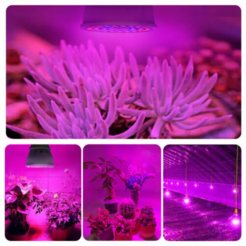 Planter Lampe LED vækst Lys Fulde Spektrum LED Pærer E27 60leds Sætteplante Phytolamps fitolamp For Anlæg Belysning Blomst Lamper