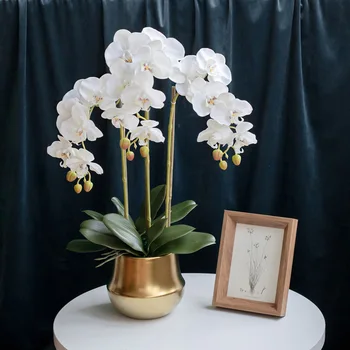 1 Sæt Høj Kvalitet Orkideer Arrangement Silke Rigtige Touch-Phalaenopsis Stor Størrelse Luksus Tabel Blomst Hjem Hotellets Indretning Ikke Vase