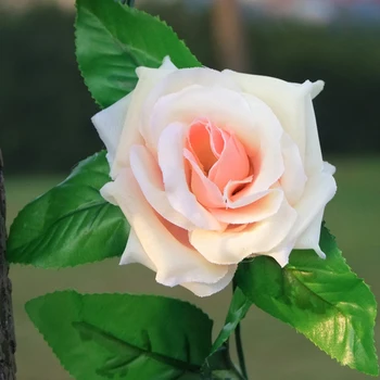 1 stk Ny Kunstig Rose Blomster, Vin Efteråret Sukkerrør Baggrund Indretning Silke Falske Rattan Krans Til Bryllup Home Hotel Indretning Tilbehør