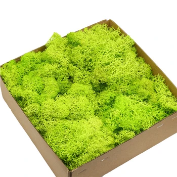 200g/Max Kunstig Plante Udødelige Mos / Have, boligindretning Væggen DIY Blomst Materiale Mini Haven Micro Landskab Falske Moss