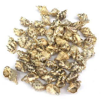 2020 Naturlig Shell Vedhæng Conch Form Vedhæng Golden Forgyldt for Smykker at Gøre DIY Halskæde Accessorie Størrelse 13x20-15x25mm