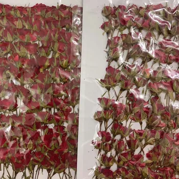 250pcs Tørret Side Trykket Rød Rose Blomst Planter Herbarium For Smykker Bogmærke Telefonen Tilfælde fotoramme Stearinlys Kunst DIY