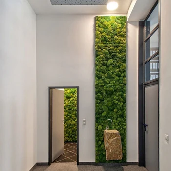 500G Simulering Grøn Plante Mos, Græs Hjem Stue Dekorative Væg DIY Blomst Dekoration, med gaveæske