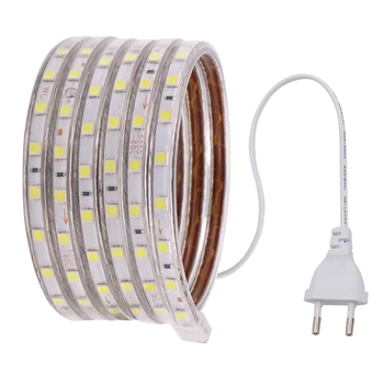 AC220V LED Fleksibel Strip Lys SMD 5050 60leds/m Vandtætte Led Bånd LED Lys Med Stikket Hvid/Varm Hvid/Blå Led Luces