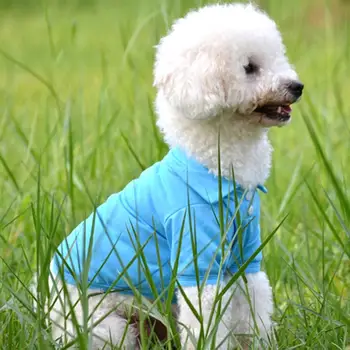 Candy Farve Søde Selskabsdyr Hvalp Krave Dog Shirt Lille Hund, Kat, Kæledyr, Tøj, Mode, Kæledyr Vest Tøj Kostume Teddy T-Shirt XS-XL