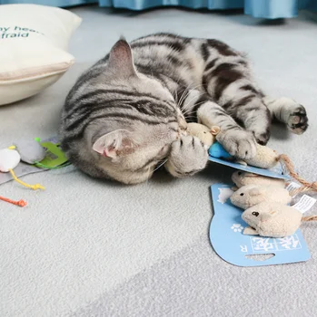 Dejlig plys mus legetøj til kat plys kat tygge legetøj med katteurt 3 pc ' en pose