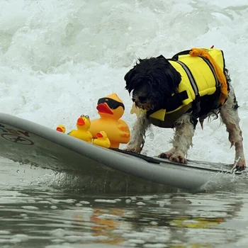 Dog Redningsvest Sommer Swimming Pet Redningsvest Flydende Hund Tøj Hund Sikkerhed Badetøj Kæledyr Badedragt Til Små Og Store Hunde