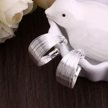 Engros i Høj Kvalitet Smykker i sølv, forgyldt Multi-Line Øreringe til Kvinder bedste gave SMTE005