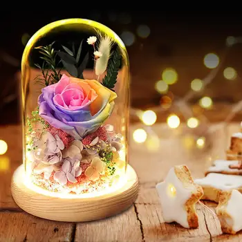 Evige Blomster Evige Steg i Glas, Julepynt til Hjem Bevaret Roser Mors Dag, Valentins Dag Gave