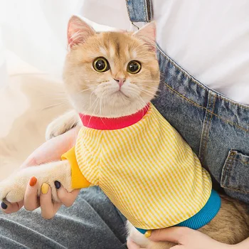 Foråret og sommeren ny pet-to-benede tøj plaid hit farve T-shirt foråret kat tøj lille hund killing / kat tøj