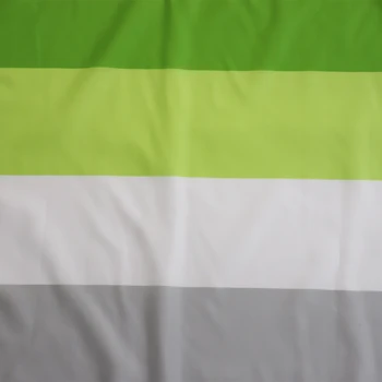 Gratis Forsendelse Flagnshow Bandera LGBT-Flag 90 x150cm Aromantic Rainbow Gay Pride Flag