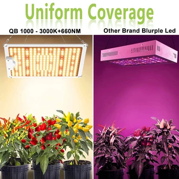 Hastighed Landmand QB1000W Fulde Spektrum Led vækst Lys For VEG Planter, Blomster Samsung Led LM381b Meanwell Driver Voksende Lampe