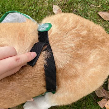 Hoopet Dog Corgi Dudou Omringe Vandtæt Tøj Kat Kolde Beskytte Mave Pet Mave Beskyttelse Sommeren Teddy T-Shirt