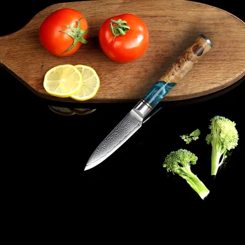 JUNSHNEG 3-tommer Multifunktion Skrælle Kniv Frugt Kniv 67 Lag Damascus Klinge Harpiks + Træ-Håndtag Af Kokkens Kniv