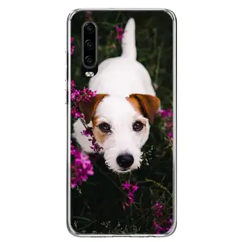 Jack Russell Terrier Hund Telefon Tilfældet For Huawei Honor 10 9 Lite 8A 8X 8, 7A 7X 9X 20 10i Y5 Y6 Y7 Y9 V20 V30 Pro Dække Coque Capa