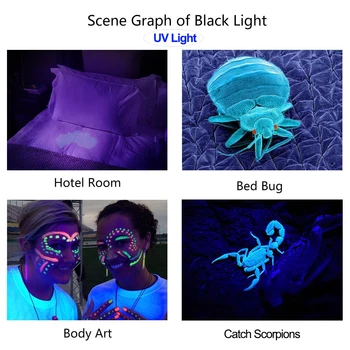 LED-UV-Lommelygte UV-Lys L2/T6 hvid lys LED Torch Light 5Mode Zoomable 395nm Ultra Violet Lys Blacklight af 18650 Batteri