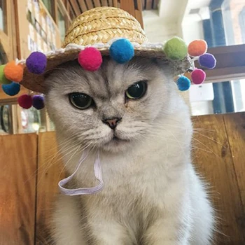 Mode Pet Vævet Strå Hat for Kat solhat Sombrero til Små Hunde og Katte Beach Party Halm Kostume Tilbehør til at Handle Søde piger