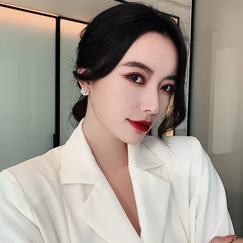 Mode Udsøgt Perle Øreringe Kvinde Koreanske Temperament Klassiske Allergivenlige Crystal Øreringe Kvindelige Smykker Gave