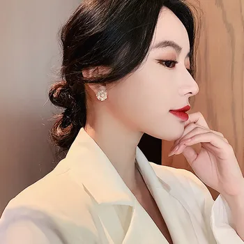 Mode Udsøgt Perle Øreringe Kvinde Koreanske Temperament Klassiske Allergivenlige Crystal Øreringe Kvindelige Smykker Gave