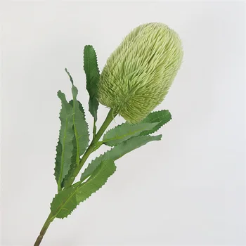Naturlige system simulation plante enkelt gren bankwood blomst kunst Nordisk fotografi rekvisitter bryllup dekoration i hjemmet indretning