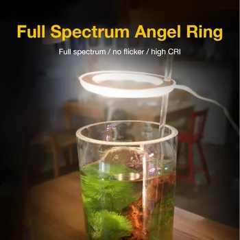 Phytolamp For Planter Fulde Spektrum LED Grow Light USB-Angel Ring Phyto-Lampe Til Drivhus Cultivo Hydroponiske Indendørs Plante Vokser