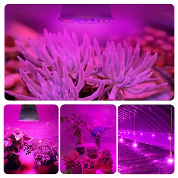 Planter Lampe LED vækst Lys Fulde Spektrum LED Pærer E27 60leds Sætteplante Phytolamps fitolamp For Anlæg Belysning Blomst Lamper