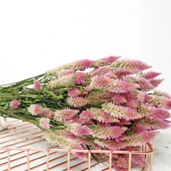 Pteris Multifida Poir GrassNatural Tørret Buket Bryllup Hjem DIY Indretning Tilbehør Udødelige Virkelige Blomster Gradient Pink Farve