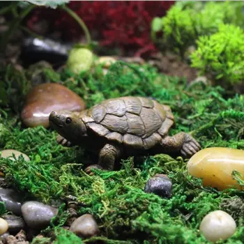Skildpadden Figurer Model Statuer Have Med Græsplæne Udendørs Bonsai Indretning Harpiks Frog Hjem Haven Indretning Landskab Dekoration
