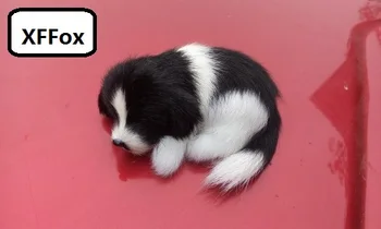 Små virkelige liv sort&hvid hund model plast&pelse sød sovende hund dukke gave om 10x4x7cm xf1471