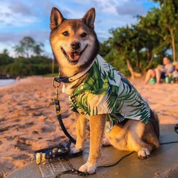 Sommeren Hawaii Dog Stranden Shirt Sweet Leaf Bananer Print Hund Tøj Fransk Bulldog T-Shirts Shih Tzu Tøj Pet Kostume F